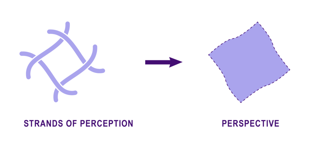 Representation of perspective developing into perception
